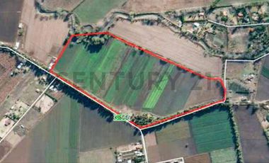 VENTA CAMPO PRODUCTIVO TIL TIL SECTOR CHAMPA