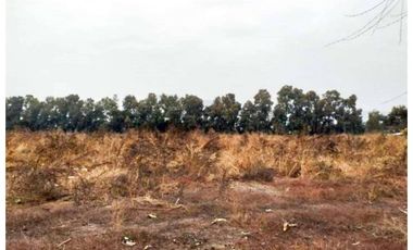 VENTA CAMPO PRODUCTIVO TIL TIL SECTOR CHAMPA