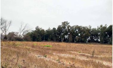 VENTA CAMPO PRODUCTIVO TIL TIL SECTOR CHAMPA