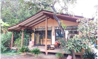 VENTA CAMPO PRODUCTIVO TIL TIL SECTOR CHAMPA