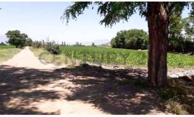 VENTA CAMPO PRODUCTIVO TIL TIL SECTOR CHAMPA