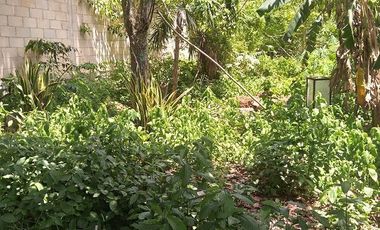 Venta de Casa Colonial, centro de Valladolid, Yucatán