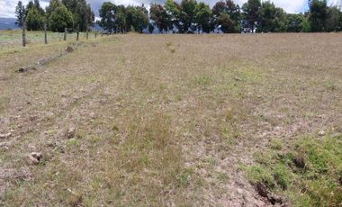 FINCA en VENTA en Chivata VEREDA SIATOCA