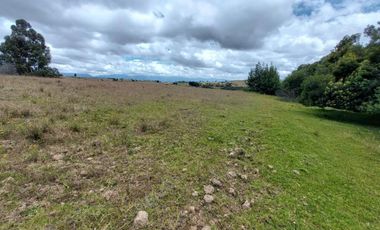 FINCA en VENTA en Chivata VEREDA SIATOCA