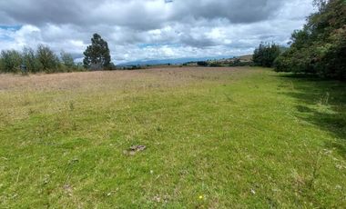 FINCA en VENTA en Chivata VEREDA SIATOCA