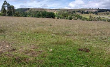FINCA en VENTA en Chivata VEREDA SIATOCA