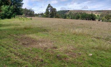 FINCA en VENTA en Chivata VEREDA SIATOCA