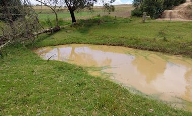 FINCA en VENTA en Chivata VEREDA SIATOCA