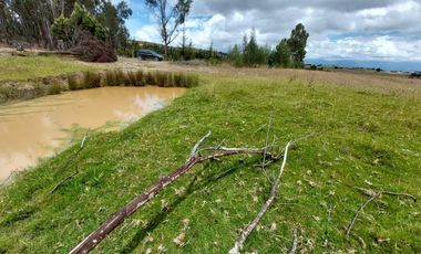 FINCA en VENTA en Chivata VEREDA SIATOCA