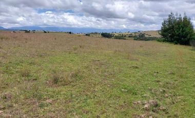 FINCA en VENTA en Chivata VEREDA SIATOCA