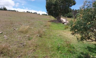 FINCA en VENTA en Chivata VEREDA SIATOCA