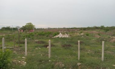 lote en arriendo/venta en via juan mina. Cod A89763