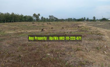 DIJUAL CEPAT Tanah di Kalianda Lampung 4 Ha Lampung Selatan