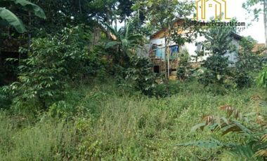 Tanah Investasi dalam Gang di Ciwaru Ujungberung | SANDYSUDIANA