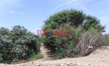 Oportunidad Venta De Terreno En Huando - Huaral