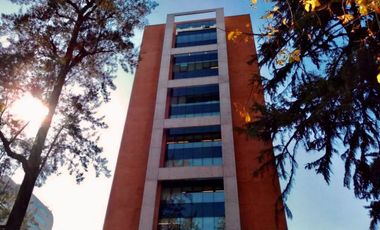 Oficina en Arriendo en Monseñor Sotero Sanz/ Metro Pedro de Valdivia