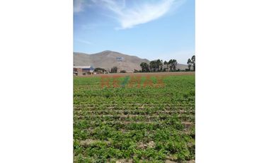 Terreno En Venta, 24,000 M², Chuquitanta De San Martin De Porres