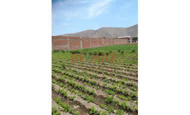 Terreno En Venta, 24,000 M², Chuquitanta De San Martin De Porres