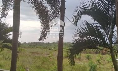 Resort Resto aktif Sawarna Banten memiliki keindahan alam yang eksotik