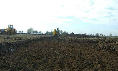 CAMPOS DE VICTORIA CANNING! ULTIMOS LOTES.