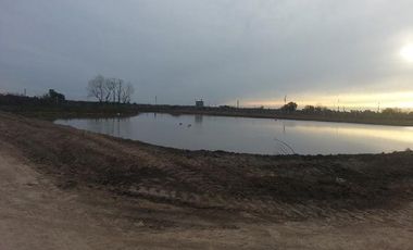 CAMPOS DE VICTORIA CANNING! ULTIMOS LOTES.