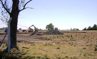 CAMPOS DE VICTORIA CANNING! ULTIMOS LOTES.