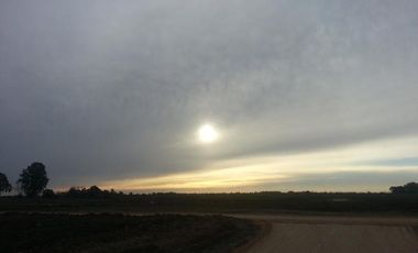 CAMPOS DE VICTORIA CANNING! ULTIMOS LOTES.