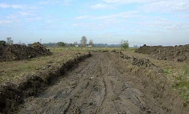 CAMPOS DE VICTORIA CANNING! ULTIMOS LOTES.