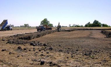 CAMPOS DE VICTORIA CANNING! ULTIMOS LOTES.