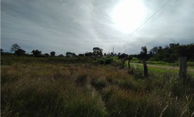 SE VENDE 2 HECTAREAS EN GARUPA