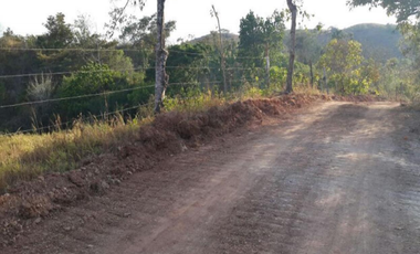 SE VENDE FINCA 1 HECTREA, EN VALLE DE ANTÓN