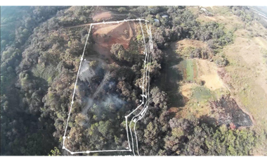 SE VENDE FINCA 1 HECTREA, EN VALLE DE ANTÓN