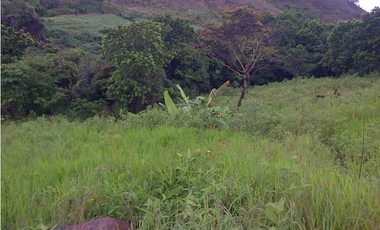 SE VENDE FINCA 1 HECTREA, EN VALLE DE ANTÓN