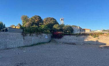Se vende terreno en Pica