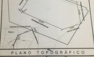 Terreno en Renta en Avenida