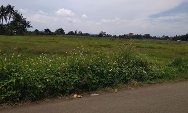 Kavling Villa Bogor