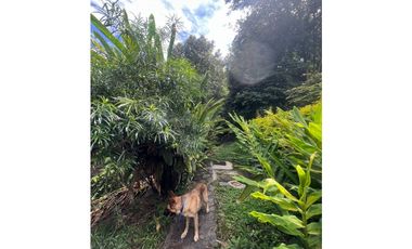 CASA FINCA RÚSTICA ENTRE COPACABANA Y GIRARDOTA