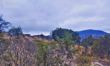 TERRENO EN LA ESTANZUELA MINERAL DEL CHICO CERCA DE LA PRESA DEL CEDRAL