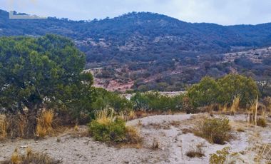 TERRENO EN LA ESTANZUELA MINERAL DEL CHICO CERCA DE LA PRESA DEL CEDRAL