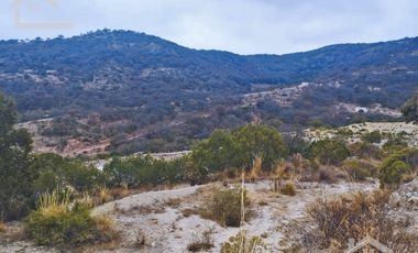 TERRENO EN LA ESTANZUELA MINERAL DEL CHICO CERCA DE LA PRESA DEL CEDRAL