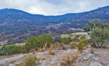 TERRENO EN LA ESTANZUELA MINERAL DEL CHICO CERCA DE LA PRESA DEL CEDRAL