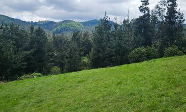 Parcela solo a 5 KM de Temuco sector Monteverde