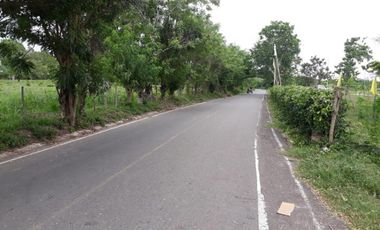 finca en venta en galapa. Cod V11380