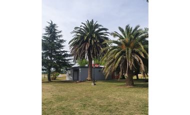 Campo en venta en Brandsen. 20 Has.