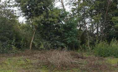 PARCELA DE 5.000 M2, EN SECTOR VARA GRUESA, COMUNA DE LINARES.