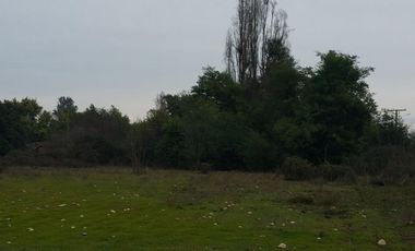 PARCELA DE 5.000 M2, EN SECTOR VARA GRUESA, COMUNA DE LINARES.