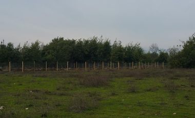 PARCELA DE 5.000 M2, EN SECTOR VARA GRUESA, COMUNA DE LINARES.