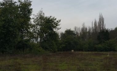 PARCELA DE 5.000 M2, EN SECTOR VARA GRUESA, COMUNA DE LINARES.