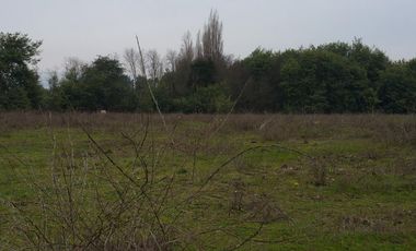 PARCELA DE 5.000 M2, EN SECTOR VARA GRUESA, COMUNA DE LINARES.