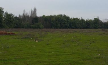 PARCELA DE 5.000 M2, EN SECTOR VARA GRUESA, COMUNA DE LINARES.